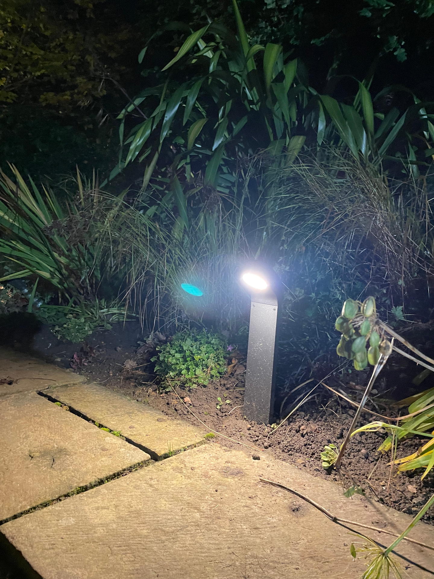 Garden path lighting
